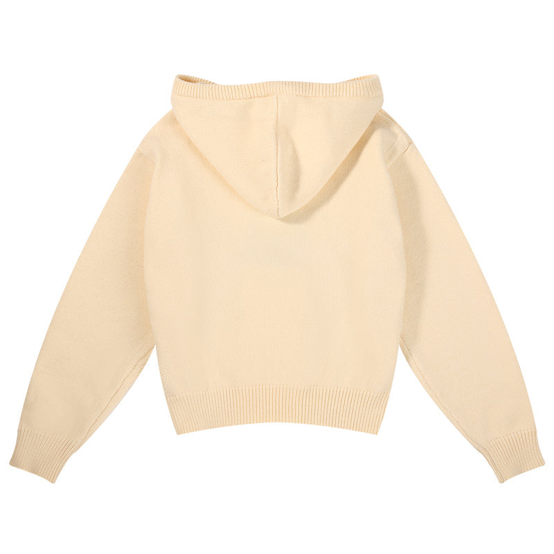 Kids Classic Pullover Hoodie with Bear Embroidery Sweater
